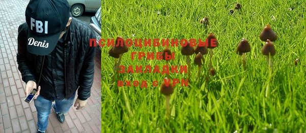 стаф Ельня
